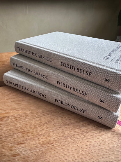 TERAPEUTISK ÅRSBOG | FORDYBELSE | 2. OPLAG